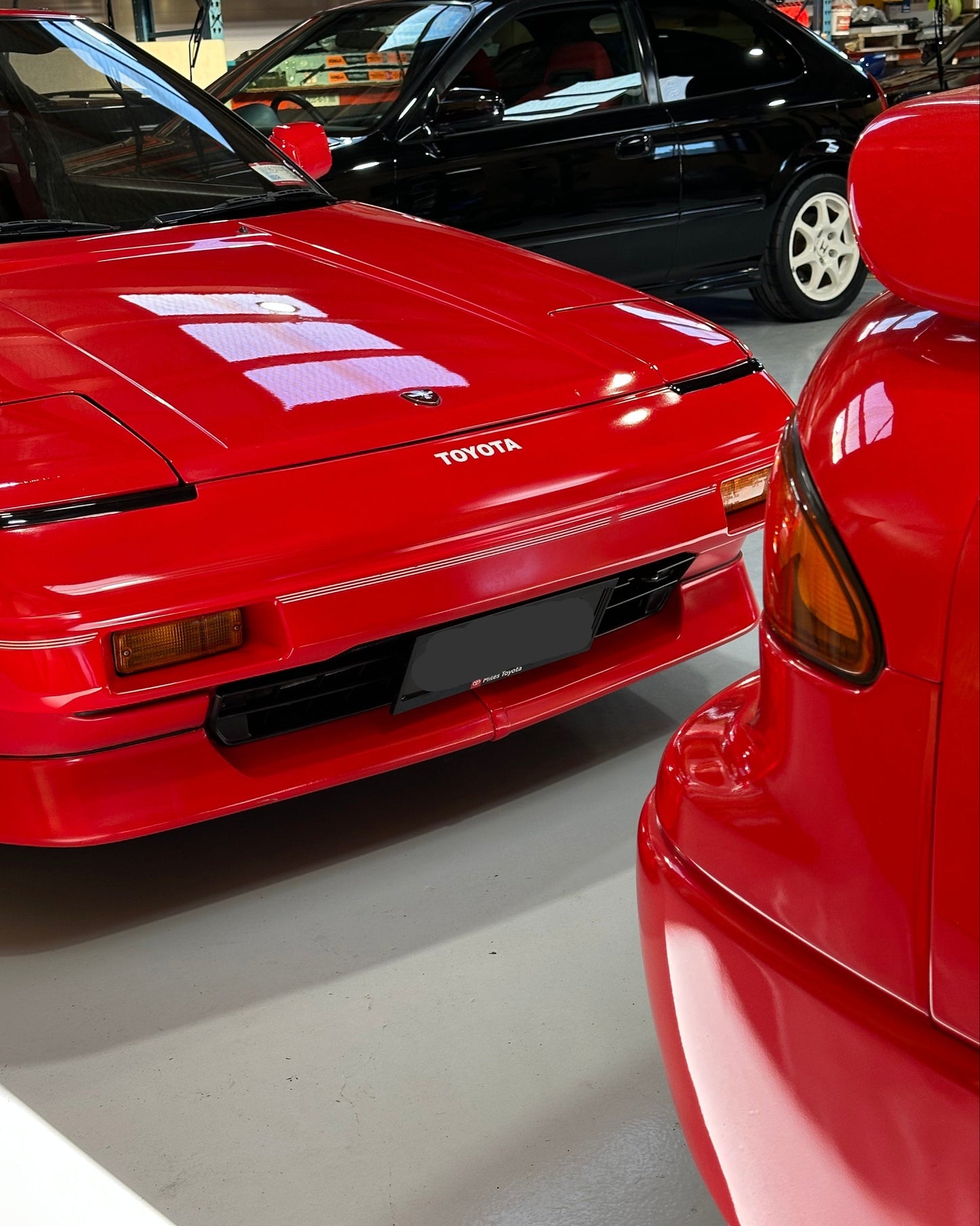 'Kenzo' 5 year Ceramic protection